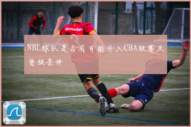 NBL球队是否有可能升入CBA联赛及晋级条件