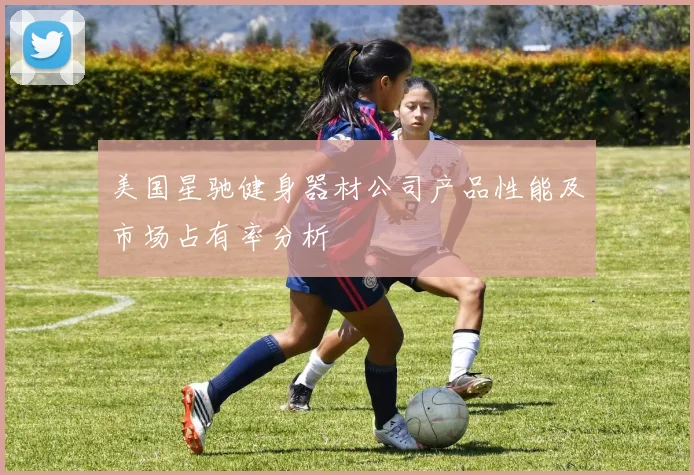 美国星驰健身器材公司产品性能及市场占有率分析