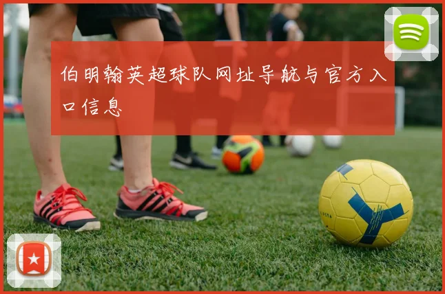 伯明翰英超球队网址导航与官方入口信息