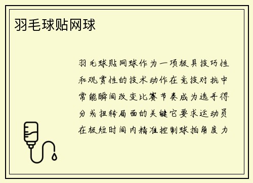羽毛球贴网球